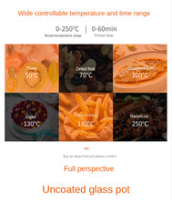 Load image into Gallery viewer, Glass Fryer