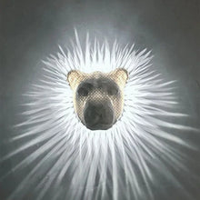 Load image into Gallery viewer, Wall Light Decor