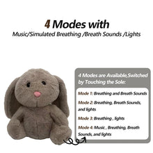 Load image into Gallery viewer, Glowing Stuff Toy