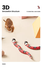 Load image into Gallery viewer, Smart Sensing Snake Cat Toys