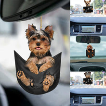 Load image into Gallery viewer, Cute Cat Puppy Car Interior Decor