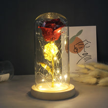 Load image into Gallery viewer, Eternal Rose LED Light In Glass Cover for Valentines Day Gift, Christmas Home Decor, Mothers Day, & New Year Gift - OZN Shopping