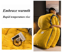 Load image into Gallery viewer, 3/4 Pcs AB Sided Thicken Corduroy Velvet Winter Bedding Set Full Queen King Size Duvet Cover - OZN Shopping