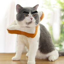 Load image into Gallery viewer, Cats & Dogs Cute Hat