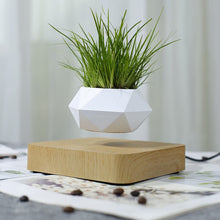 Load image into Gallery viewer, Floating Plants Home Decor - OZN Shopping