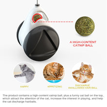 Load image into Gallery viewer, Tumbler Swing Toys for Cats Kitten Interactive Balance Car Cat Chasing Toy With Catnip Funny Pet Products - OZN Shopping