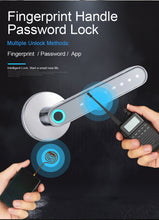 Load image into Gallery viewer, Fingerprint Electronic Door Lock Smart Bluetooth Password Handle Lock APP - OZN Shopping
