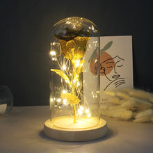 Load image into Gallery viewer, Eternal Rose LED Light In Glass Cover for Valentines Day Gift, Christmas Home Decor, Mothers Day, & New Year Gift - OZN Shopping