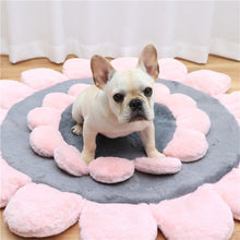 Load image into Gallery viewer, Pet Kennel Dog Bed Sofa Mat Sleeping Washable Cat House Beds for Large Small Medium Bulldog Frances Mats Dogs Plush Supplies - OZN Shopping