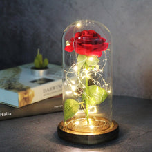 Load image into Gallery viewer, Eternal Rose LED Light In Glass Cover for Valentines Day Gift, Christmas Home Decor, Mothers Day, & New Year Gift - OZN Shopping