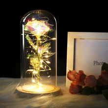 Load image into Gallery viewer, Eternal Rose LED Light In Glass Cover for Valentines Day Gift, Christmas Home Decor, Mothers Day, & New Year Gift - OZN Shopping