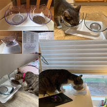 Load image into Gallery viewer, Non slip Double Cat Bowl with Raised Stand Pet Food Cat feeder Protect Cervical Vertebra cat food bowl for dogs Pet Products - OZN Shopping