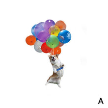 Load image into Gallery viewer, Cute Cat Puppy Car Interior Decor