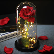 Load image into Gallery viewer, Eternal Rose LED Light In Glass Cover for Valentines Day Gift, Christmas Home Decor, Mothers Day, & New Year Gift - OZN Shopping