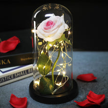Load image into Gallery viewer, Eternal Rose LED Light In Glass Cover for Valentines Day Gift, Christmas Home Decor, Mothers Day, & New Year Gift - OZN Shopping