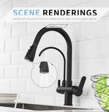 Load image into Gallery viewer, Elegant Kitchen Faucet Sensor Smart Touch Pull Out Tap