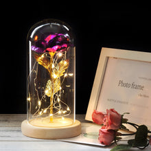 Load image into Gallery viewer, Eternal Rose LED Light In Glass Cover for Valentines Day Gift, Christmas Home Decor, Mothers Day, & New Year Gift - OZN Shopping