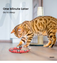 Load image into Gallery viewer, Smart Sensing Snake Cat Toys