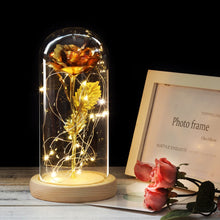 Load image into Gallery viewer, Eternal Rose LED Light In Glass Cover for Valentines Day Gift, Christmas Home Decor, Mothers Day, & New Year Gift - OZN Shopping