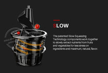 Load image into Gallery viewer, Fruit Juicer Press Extractor Machine Blender - OZN Shopping
