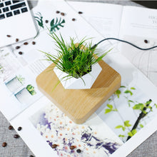Load image into Gallery viewer, Floating Plants Home Decor - OZN Shopping