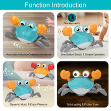 Load image into Gallery viewer, Crab Toys Musical Pet Toy