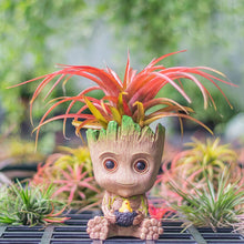 Load image into Gallery viewer, Marvel Avengers Groot Mini Flower Pot