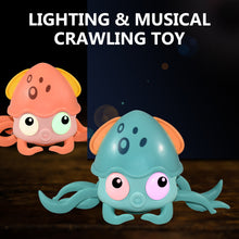 Load image into Gallery viewer, Crab Toys Musical Pet Toy