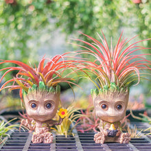 Load image into Gallery viewer, Marvel Avengers Groot Mini Flower Pot