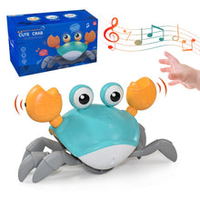 Load image into Gallery viewer, Crab Toys Musical Pet Toy