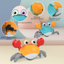 Load image into Gallery viewer, Crab Toys Musical Pet Toy