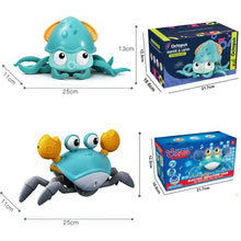 Load image into Gallery viewer, Crab Toys Musical Pet Toy