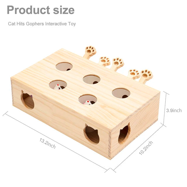 Cat Hide in Seek Toy