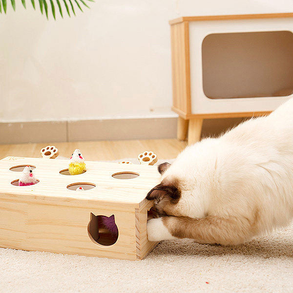 Cat Hide in Seek Toy