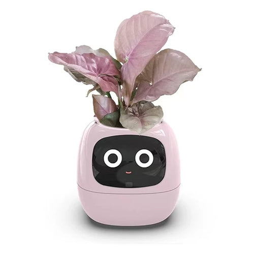 Happy Robot AI  Planter