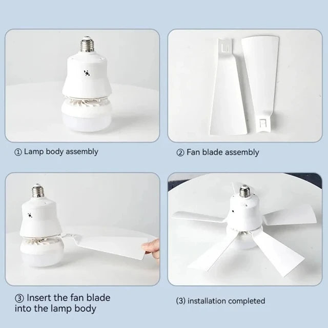 2 in 1  Lights & Ceiling Fan