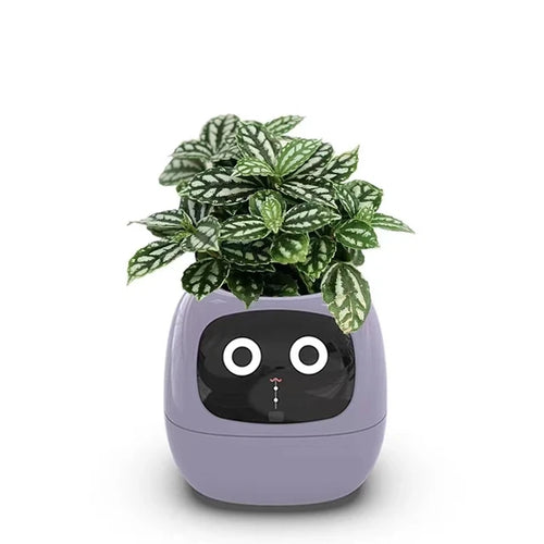 Happy Robot AI  Planter