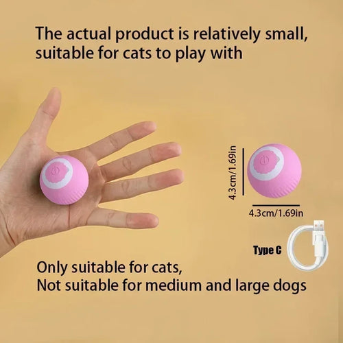 Cat Play Toys