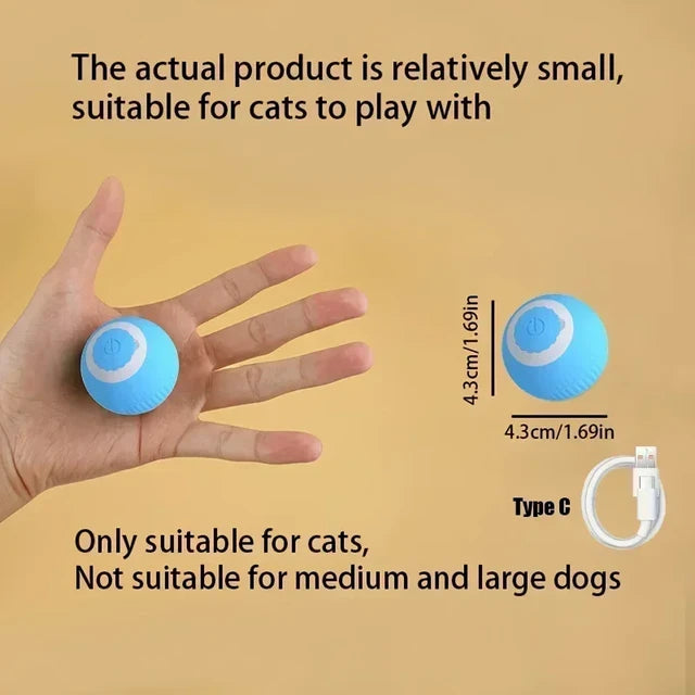 Cat Play Toys