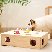 Load image into Gallery viewer, Cat Hide in Seek Toy
