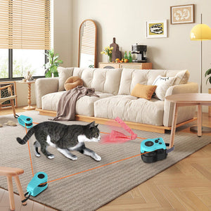 Cat Catch Play Set