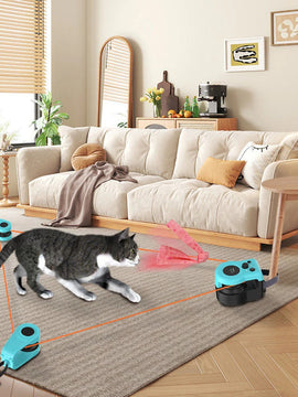 Cat Catch Play Set