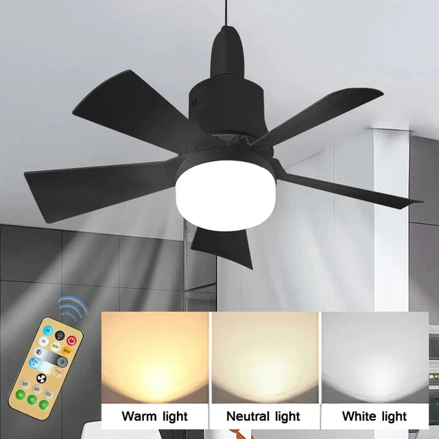 2 in 1  Lights & Ceiling Fan