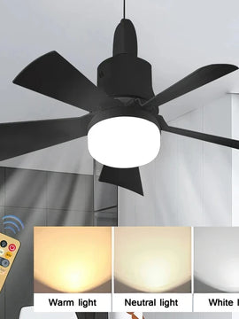 2 in 1  Lights & Ceiling Fan