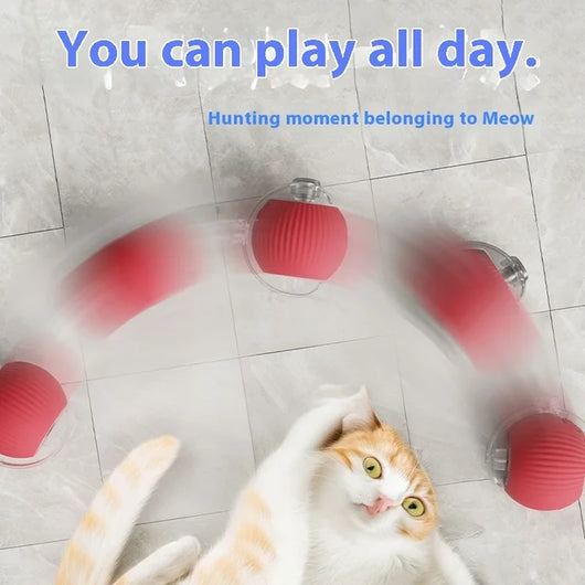 Cat Play Toys