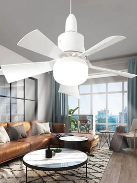 2 in 1  Lights & Ceiling Fan