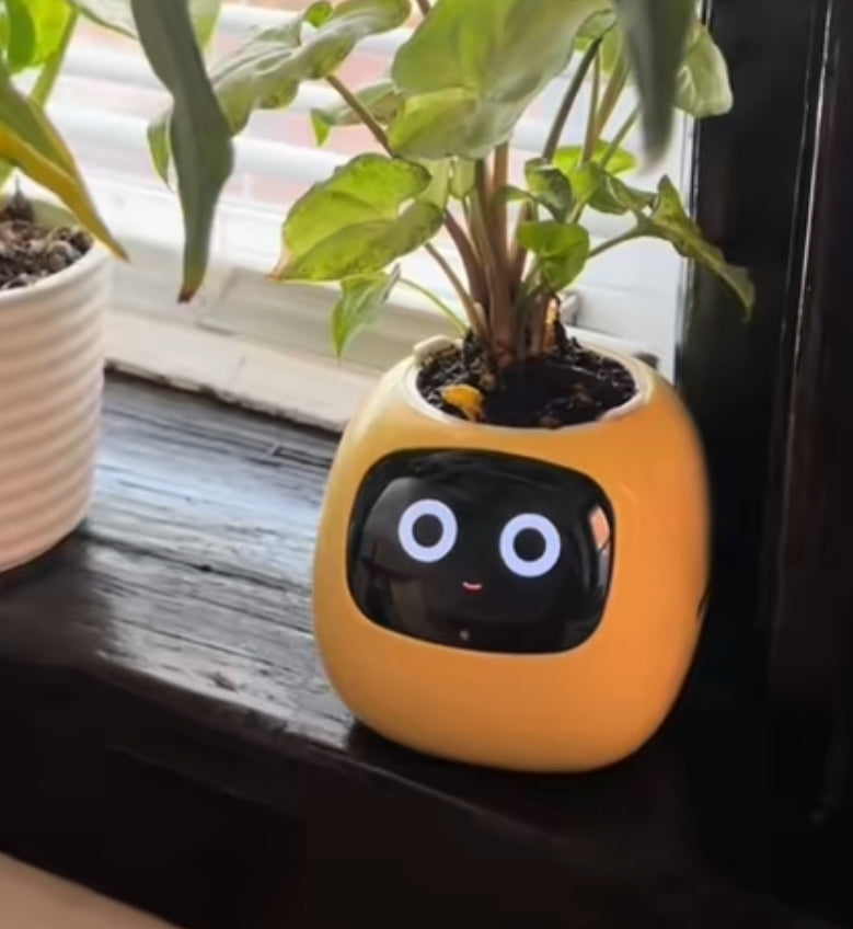 Happy Robot AI  Planter