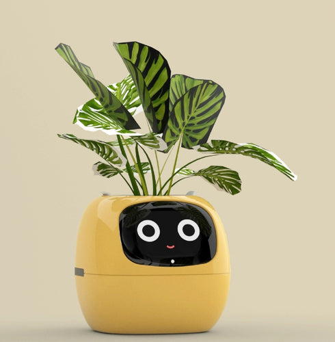 Happy Robot AI  Planter