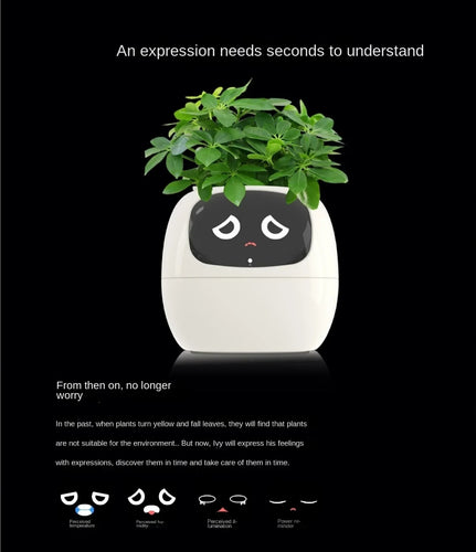 Happy Robot AI  Planter