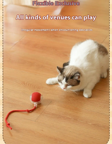 Cat Play Toys